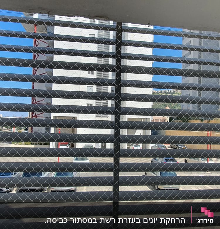 רשת מתכת על חלון למניעת כניסת יונים